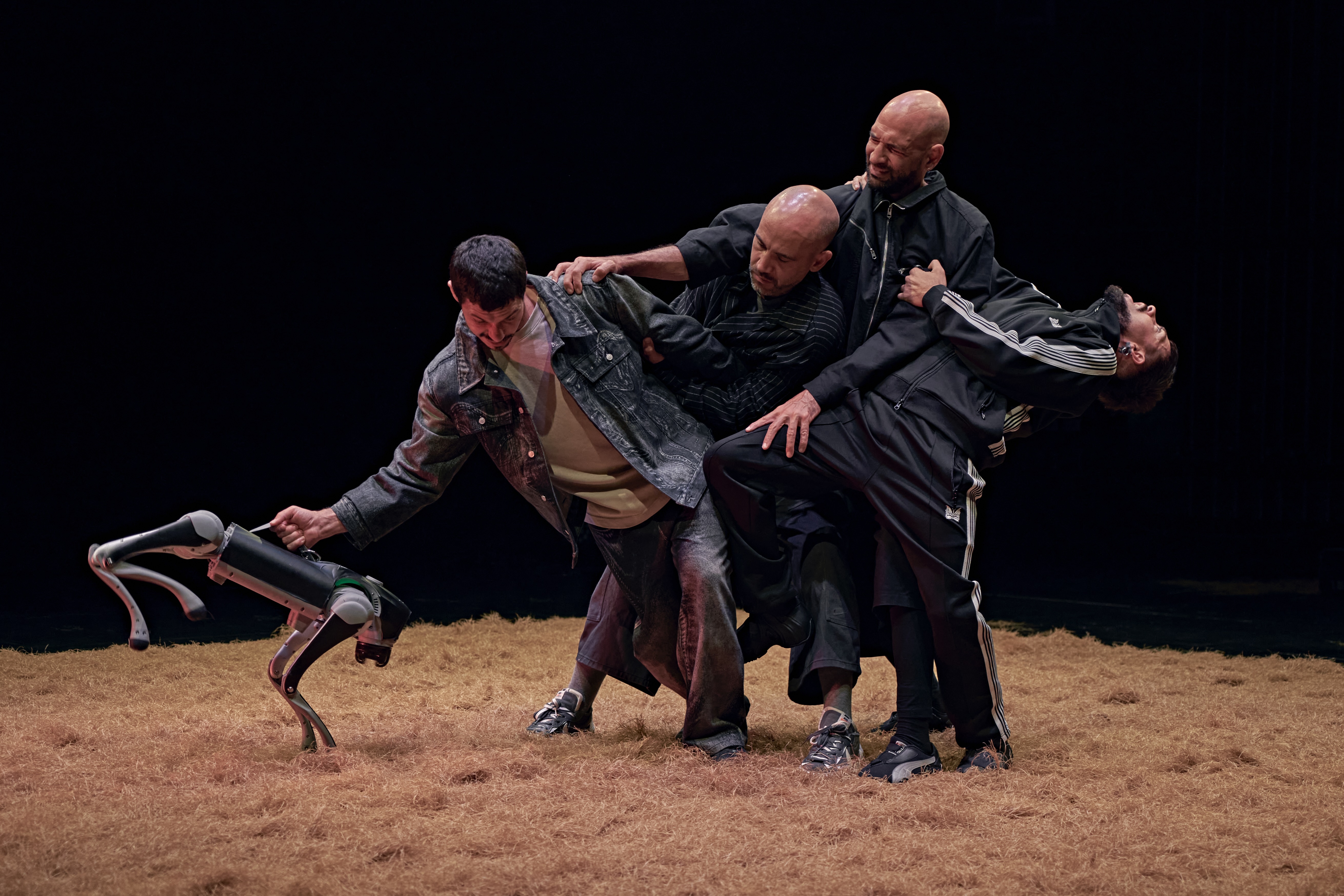Territori Dansa