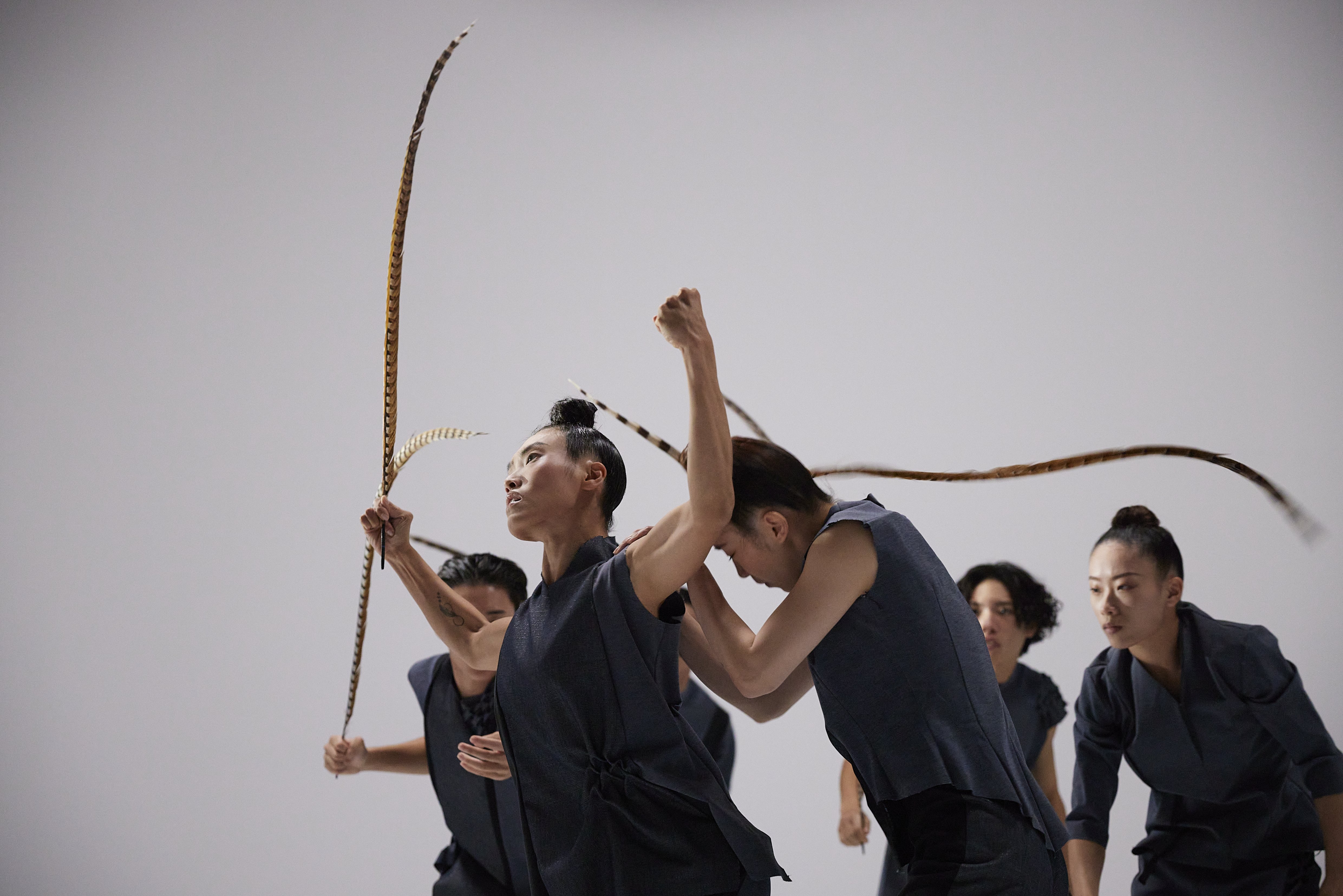 hung dance - birdy