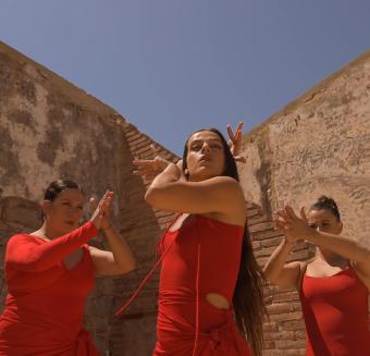 Tina Martí / Escuelas de danza Sant Cugat / La rebelión de las aburridas - Pan y rosas / Double skin
