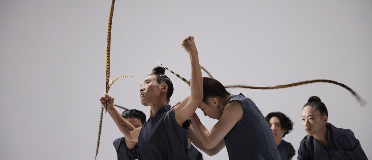 hung dance - birdy