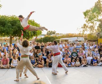 Territori Dansa