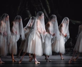 Giselle